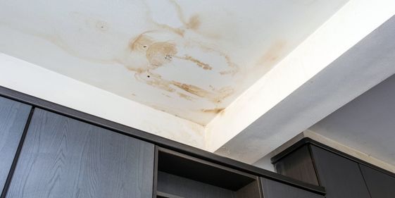 repair services for leaking roof